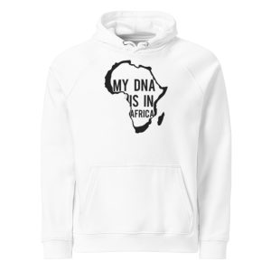 My dna is in Africa Unisex eco raglan hoodie